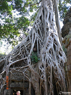 hyoupeng采集到越南柬埔寨湄公河旅游