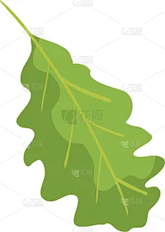 autumn leaf nature isolated icon
