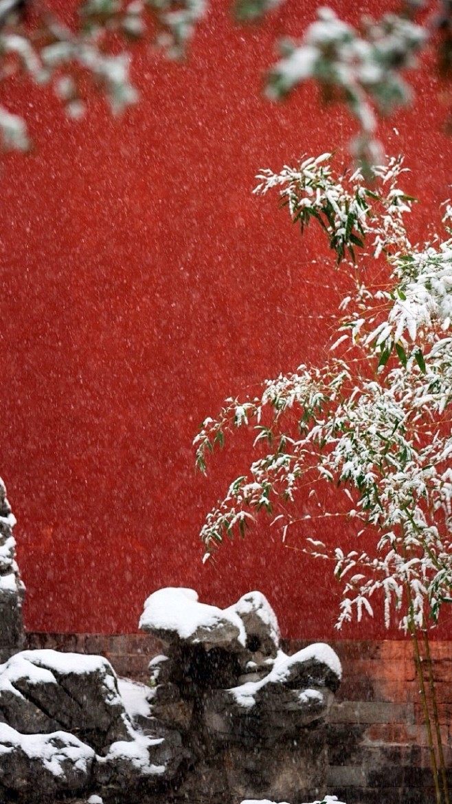 红墙白雪，醉美故宫。