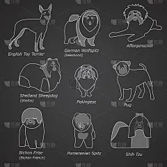 线形犬的品种
