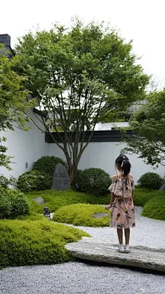 宣寒采集到中式景观