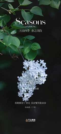 -夏至将至-采集到宣传册