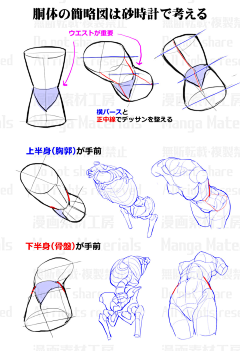 桃花扇美人笑采集到人体结构-整体