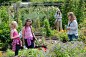 Visitors in the kitchen garden