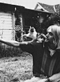 Kurt Cobain、Kurt Cobain、Kurt、Cobain