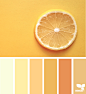 Design Seeds : Design Seeds color palettes ... posted daily for all who love color.