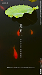 夏至