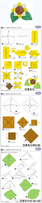 【自己动手】向日葵折纸教程。http://t.cn/zOdQYqy（分享自@嘀咕）