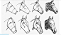 千姿百态的动物：马头的画法2（最上面的横截面不与下面的三个平行）