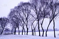 公园里的雪景
