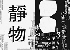 罗志卿采集到字体设计