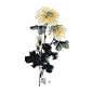 菊