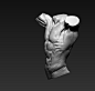 ecorche study, Adam Daroszewski : ecorche study of a measured model
