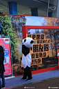#成都双遗马拉松#年度最奇葩不上班理由：报告老板，因为马拉松，过不了马路，上不了班 ​