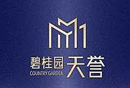 东张西忘采集到地产广告(杂)