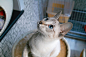 20120411220151_EfRvQ