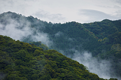 Lik*采集到风景