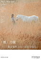 地产广告|阿那亚创意海报精选 : 关键词：阿那亚、社群运营、海报文案