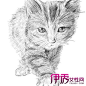 20151031194535567