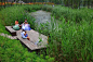 Minghu Wetland Park / Turenscape: 