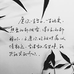 KiKi是白娘子采集到书法