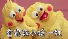 #鹦鹉兄弟表情包#
嘤嘤嘤 最后一波鹦鹉表情哟 |南京·玄武... ​