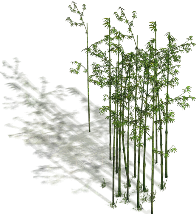 竹林2_1257.png-花瓣网