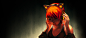 Top banner