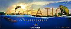 百年润发采集到摄影