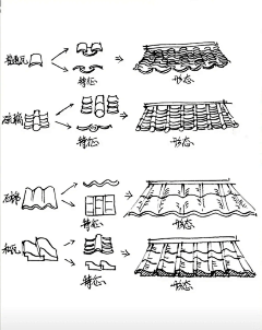 罗_小轩采集到手绘