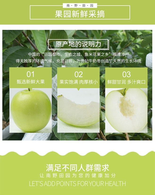 5斤 台湾贵妃枣牛奶枣新鲜水果蜜枣大青枣...