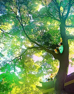 秋色波连波的相册-日系动漫和插画里的场景