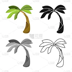 热带气候,棕榈树,图标,夏天,植物学,自然,风景,收集,旅行,旅游