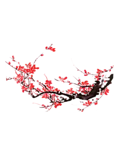 【米图网-52mitu.com】梅花 冬天 冬季 腊梅 中式 元素 水墨梅花