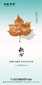 秋分节气移动端海报