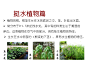 常见水生植物_15