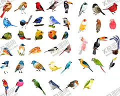 卡通小鸟 【酷图网】卡通小鸟,卡通素材,矢量素材,矢量小鸟,手绘小鸟,小鸟插画,可爱卡通,小鸟,可爱小鸟,漫画小鸟,卡通动物,动漫卡通,可爱,贺卡,动物插画,插画,儿童绘本,儿童画画,