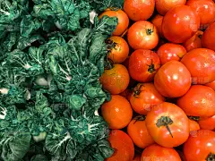 西红柿,红色,蔬菜叶,水平画幅,素食,无人,莳萝,超级市场,维生素,商店