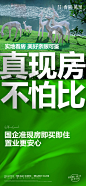 20240328 大字报