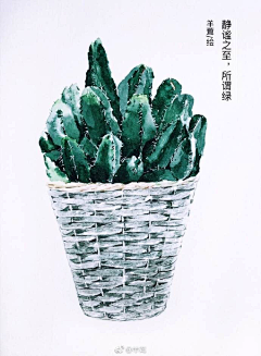 ooooooo·采集到文艺植物插画
