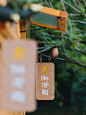 用小鸟，做设计 - 小红书