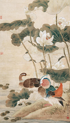 小光光光光采集到中国传统绘画