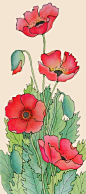 Pauline Townsend - Silk Painter