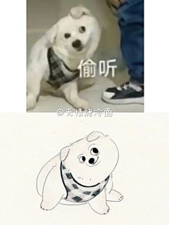 日子一天天过采集到动物