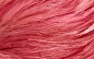 feathers flamingos wallpaper (#1865969) / Wallbase.cc