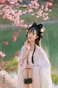 来南京一定拍一组美美的汉服__4_傅八月_来自小红书网页版