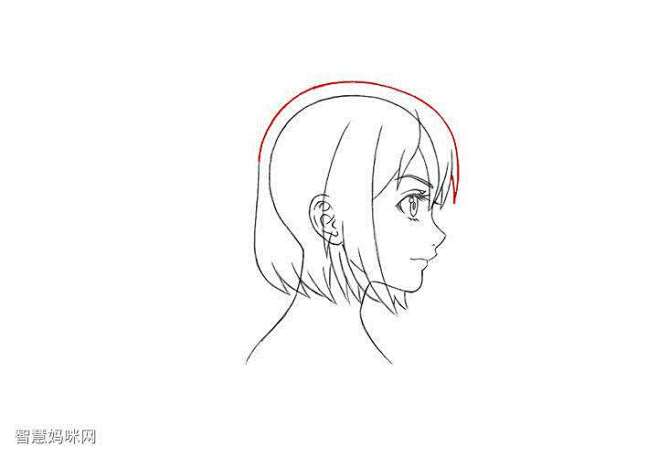 漫画 女 头颅  侧脸 