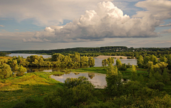 英国森林采集到lake5