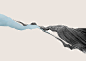 72e1829d168557a618d5d0c5070f9dc0505ec42397f5-Sgc06G_waifu2x_art_noise2_scale