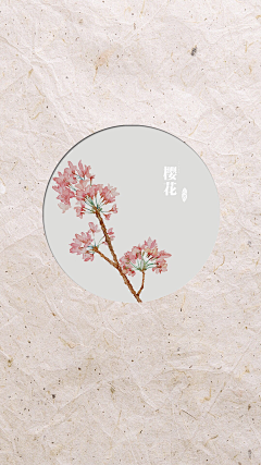 cloverada采集到水彩